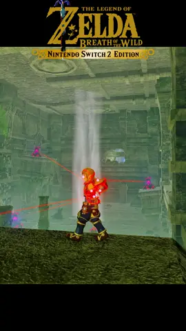 Hyrule's Last Line of Defense #zelda #zeldabotw #nintendoswitch2 #switch2 #nintendo 
