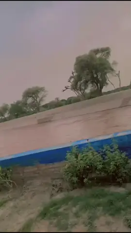 @Rajput hon. yaar @Rajpoot 007 @wasayراجپوت🦁 