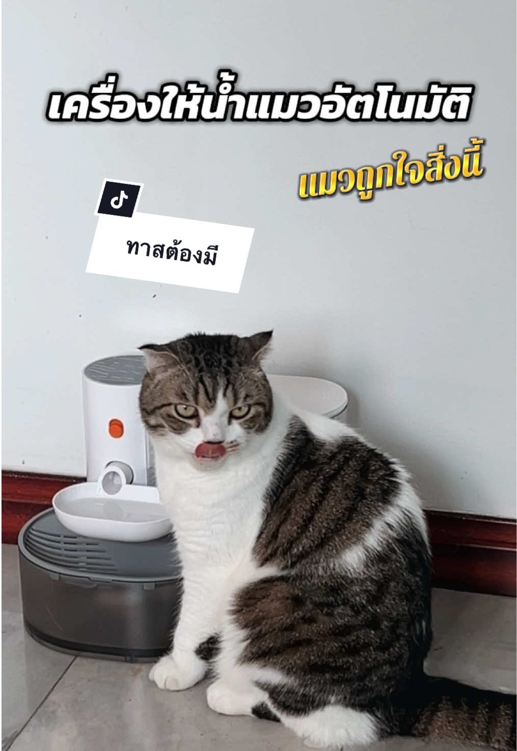ลองมาจะ 2 เดือน น้ำไม่ถ้วยไม่ยุบเลยจ้าาาา พวกท่านเค้ากินน้ำจาก #เครื่องให้น้ําแมว อย่างเดียวเลย #เครื่องให้น้ําอัตโนมัติ #ทาสแมว #แมว 