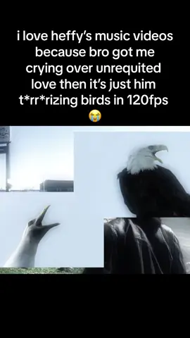 why am i crying and laughing at the same time  #heffy #electronicmusic #thehellp #kimj #damonr #indiesleaze #2hollis 