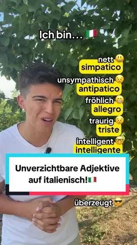 Welche Wörter beschreiben dich am besten?🥰 Schreib es mir in die Kommentare!😌 Und lerne dabei, wie du Adjektive für deine italienischen Gespräche nutzen kannst!🇮🇹 PS: Heute, der 04. August um 19:00 bin ich live mit einem KOSTENLOSEN Webinar zur exklusiven Newsletter Italienisch 365!🇮🇹 👉🏻 In der Newsletter bekommst du jeden Tag kleine, interaktive Lernhäppchen: Italienische Kultur, Grammatik, Vokabeln, Hör- und Leseverstehen. Ganz ohne Stress – nur mit Spaß. Wann und wo du willst. Wenn du endlich regelmäßig Italienisch lernen willst – einfach, effektiv und mit Freude – dann sei dabei! 📲 Melde dich über den Link in meinem Profil an. Die Plätze sind begrenzt! #italienisch #italienischlernen  #italienischsprechen  #italienischfüranfänger 