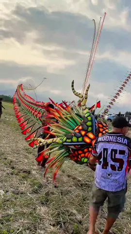 Naga sekar Arum Mirip Predator #layangan #layangannaga #jogjaistimewa #jogja24jam #fypシ゚ #fypシ゚ #dragonkite 
