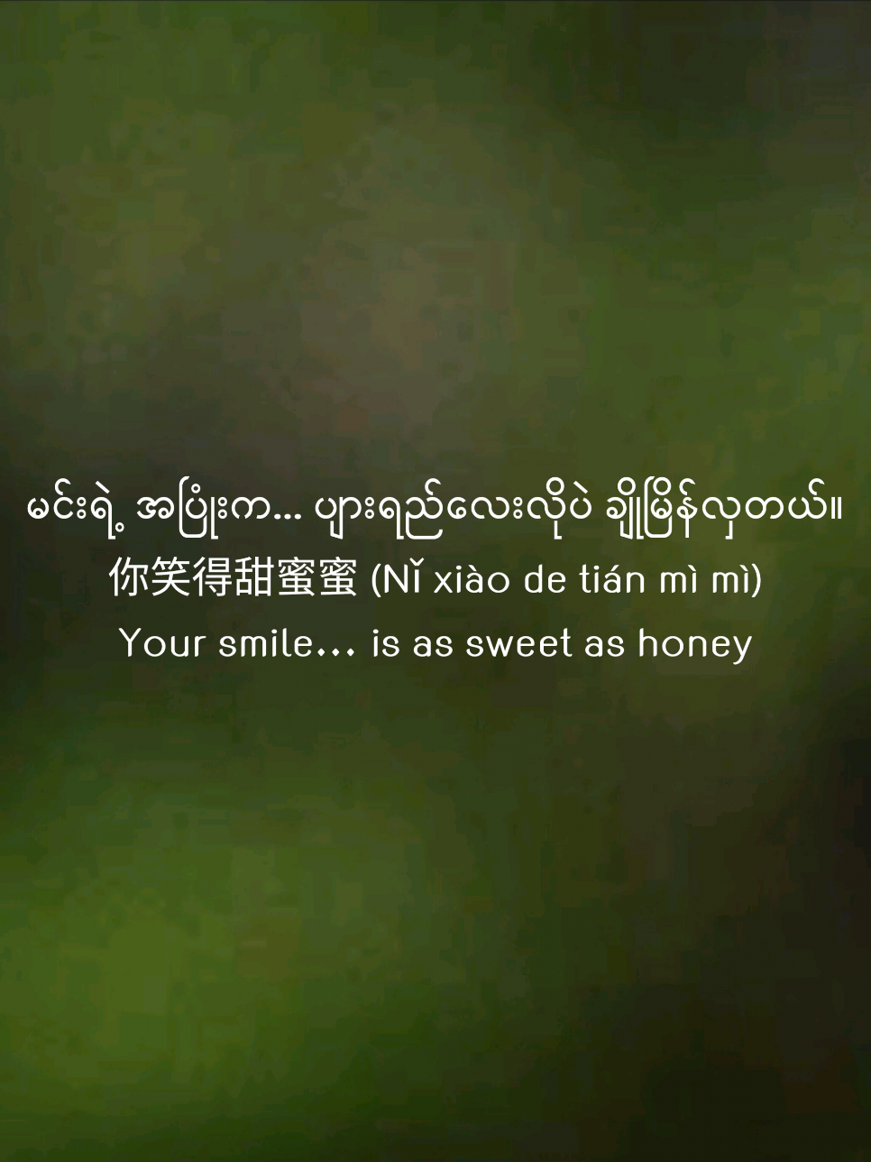 🌿🌸ချိုမြိန်တဲ့... ပျားရည်လေး 甜蜜蜜 (Tián mì mì) So sweet… like honey မင်းရဲ့ အပြုံးက... ပျားရည်လေးလိုပဲ ချိုမြိန်လှတယ်။ 你笑得甜蜜蜜 (Nǐ xiào de tián mì mì) Your smile… is as sweet as honey နွေဦးလေပြေထဲမှာ... ပန်းလေးတွေပွင့်သွားသလိုပဲ 好像花儿 开在春风里 (Hǎo xiàng huār kāi zài chūn fēng lǐ) Like flowers blooming… in the gentle spring breeze #SweetSmile  #AsianClassicVibes  #OldiesButGoldies  #LoveInLyrics  #VintageRomance  #TianMiMiVibes 