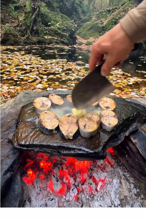Grilled mackerel on hot rocks in nature 🥩🪵🔥🌲💦 #cookingasmr #outdoorcooking #leon #Recipe #cookingnature #camping #foodtiktok 