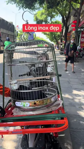 #phukienchimcanh #xh #yeuchimcanh #longchimdep 