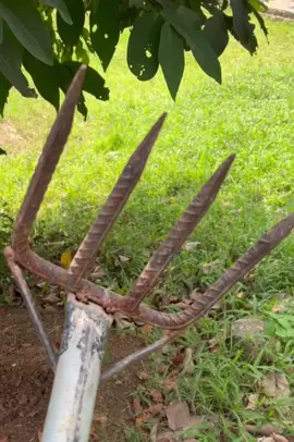 Cangkul garbu pacul cakar adalah alat yang sangat berguna untuk perkebunan atau perternakan. Dengan 4 mata yang dimilikinya, cangkul ini dapat digunakan untuk berbagai jenis tanah dan memudahkan dalam pengolahan tanah. Ukurannya yang lebar 17cm dan panjang 22cm membuatnya mudah digunakan dan dapat menjangkau area yang lebih luas. Dengan menggunakan cangkul garbu pacul cakar, Anda dapat mengolah tanah dengan lebih mudah dan efisien. Alat ini sangat cocok untuk digunakan dalam perkebunan atau perternakan, karena dapat membantu Anda dalam mengolah tanah dan memudahkan dalam pengolahan tanah. juga bisa digunakan untuk membersihkan lingkungan.  Dengan demikian, cangkul garbu paci cakar adalah alat yang sangat berguna untuk perkebunan atau perternakan Anda.  #cangkul #garpu #peternakan #perkebunan #tiktok 