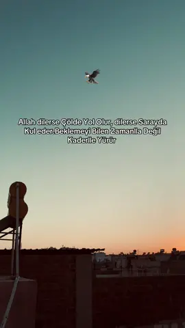 STORY 🦅#storylikvideolar📌 #raconsözler #duygusalvideolar #fypシ゚ #ağırsözler 