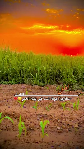 جزء..6.| نضل معتازين ابونه شماكبر بينه العمر😔💔 #تصويري_احترافي_الاجواء👌🏻🕊😴 #تفاعلكم_لايك_متابعه_اكسبلوررررراexplore #fentysuperbrandday #اكسبلور #حسب_الطلب 