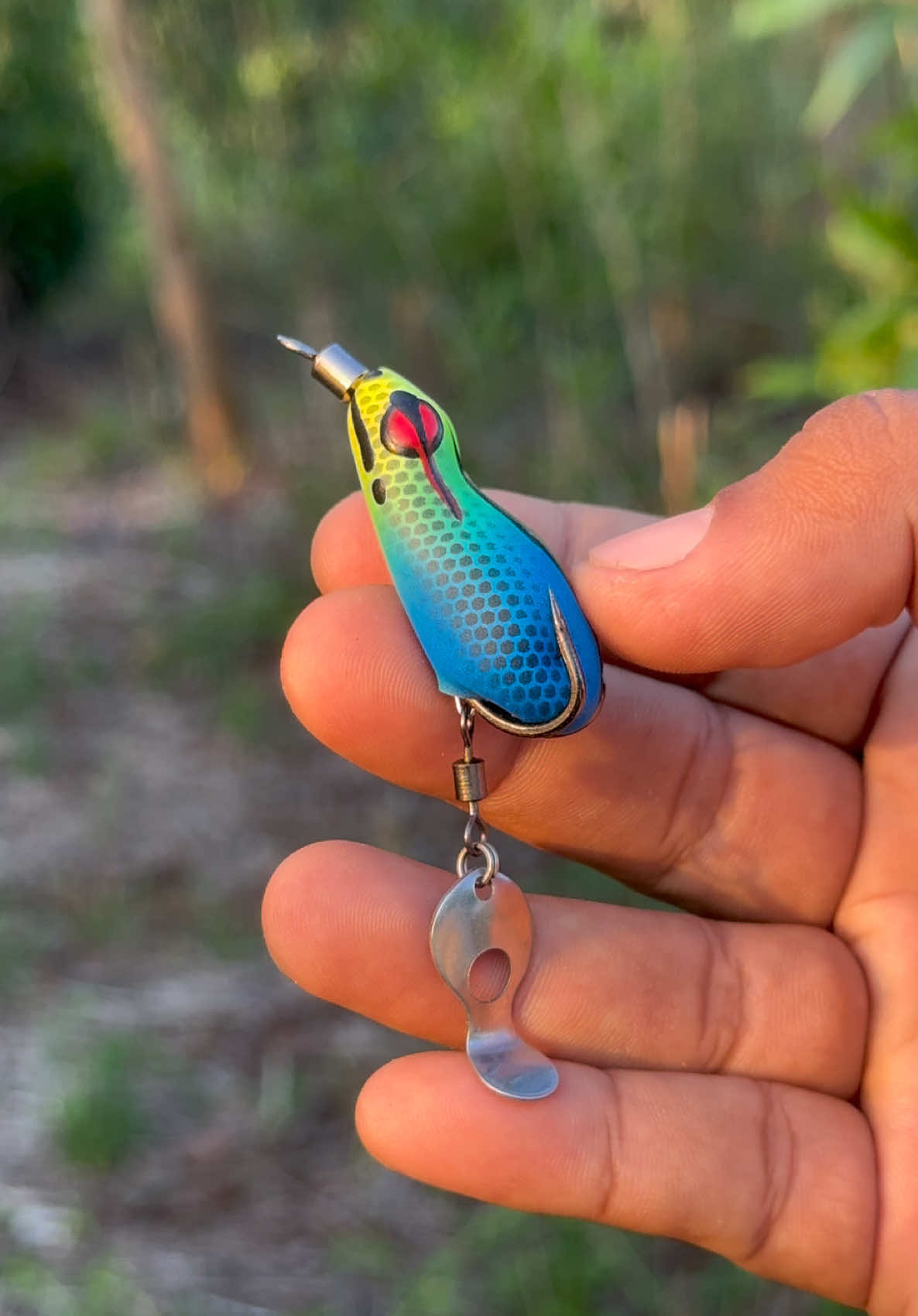 UMPAN SOFTFROG RASA JAWS✅✅✅✅✅ #mancingmania #mancing #umpan #softfrog 