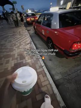 #_nhat_trung🤍 #dntxuhuong #fbtxuhuong 