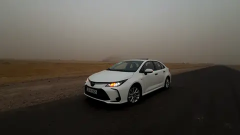 الجميله✨#كورلا #هايبرد #2025 