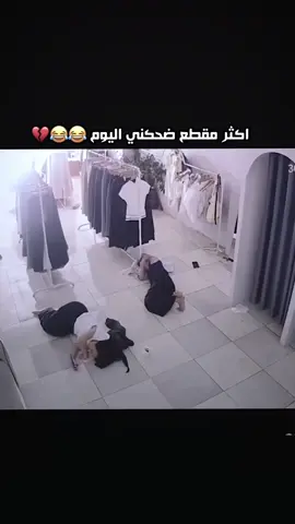 اكثر مقطع ضحكني اليوم #قناتي_تليجرام_بالبايو💕🦋 #المصمم_ابن_صالح 