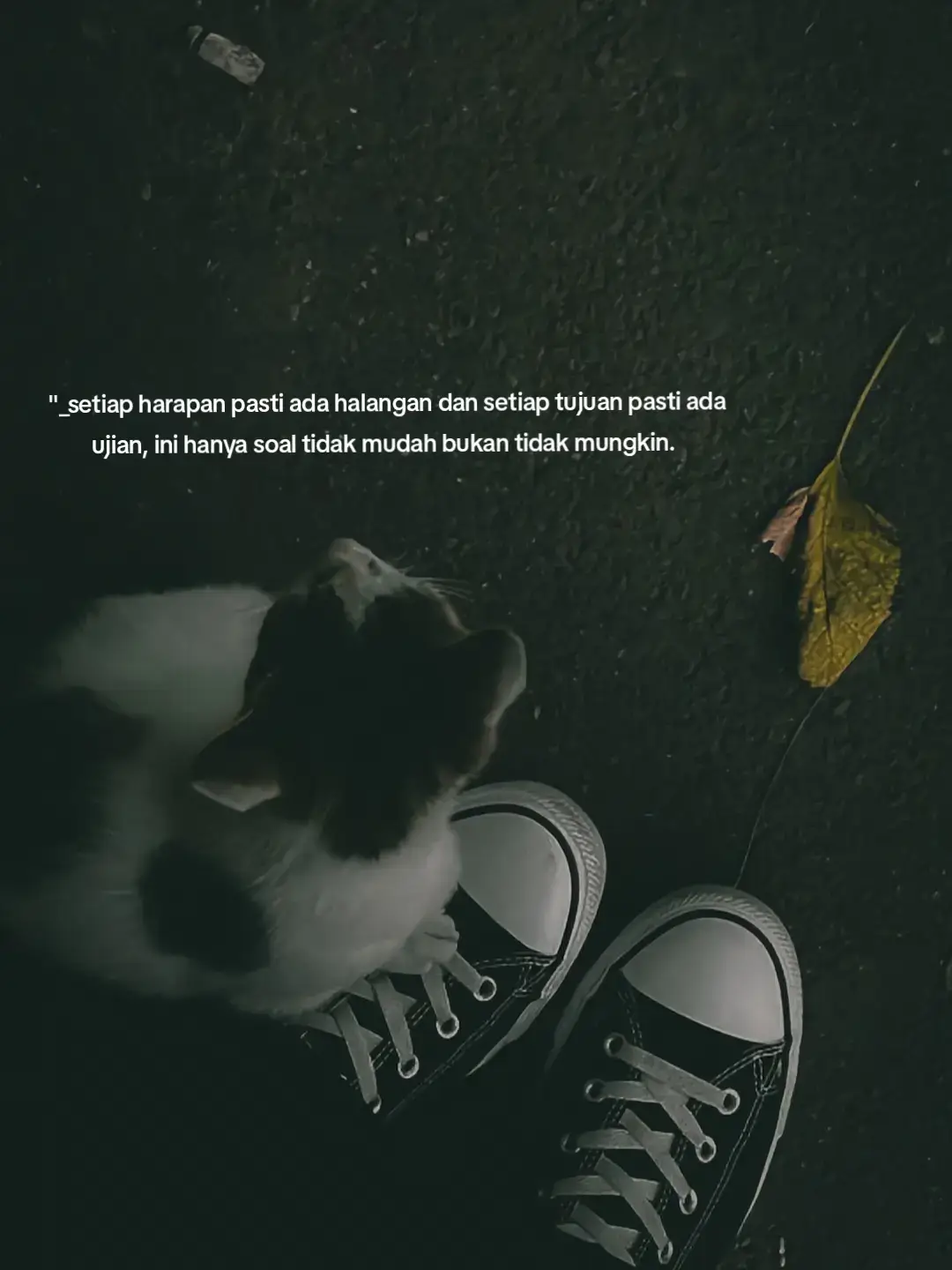 1. Cuci tangan dulu Sebelum makan, pastikan tangan kamu bersih, terutama jika makan pakai tangan. 2. Duduk dengan tenang Makanlah sambil duduk, jangan sambil jalan-jalan atau rebahan. 3. Ambil makanan secukupnya Jangan ambil terlalu banyak, lebih baik tambah lagi kalau masih lapar. 4. Kunyah pelan-pelan Kunyah makanan secara perlahan, minimal 20–30 kali supaya mudah dicerna. 5. Fokus saat makan Hindari main HP atau nonton sambil makan agar tubuh dan pikiran fokus pada proses makan. 6. Minum setelah atau sebelum makan (secukupnya) Jangan terlalu banyak minum saat makan supaya tidak mengganggu pencernaan. 7. Ucapkan syukur Setelah selesai makan, ucapkan syukur atau doa sesuai keyakinanmu. #katakata #fyp #foryou #videomotivasi #creatorsearchinsights 
