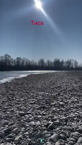 Тиса#закарпаттяпойме #право #карпаты #карпати #коломийки #сссрвспомним #людина #wolf #право #фильмнавечер🍿 #правдажизни #чатрулетка #ssshp #правда 