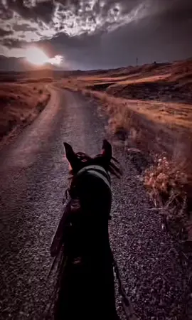 🌾 İnsanın içindeki beklentiyi bitirmesi de bir vedadır. #dengbej #sevgi #edebiyat #dengbejşakiro #at #şiir #sözler #aşk 