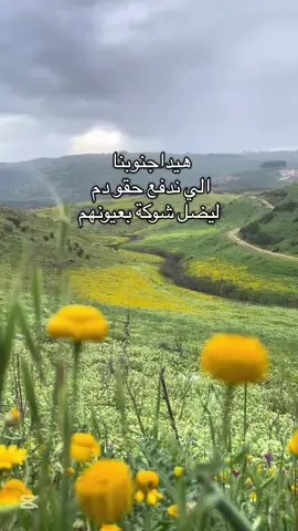 شوكة بعيون المحتل✌️جنوب لبنان❤️#foryoupage #fyp #foryou #explore #lebanon 