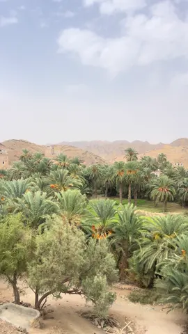 #وادي_خب_الجوف_اليمن🇾🇪❤️🇾🇪 #اكسبلور #تصويري_احترافي_الاجواء👌🏻🕊😴 #اكسبلورexplore #بيرق_الجوف #قصيده_شعر_بوح_خواطر #تصويري_سنابي_يومياتي 