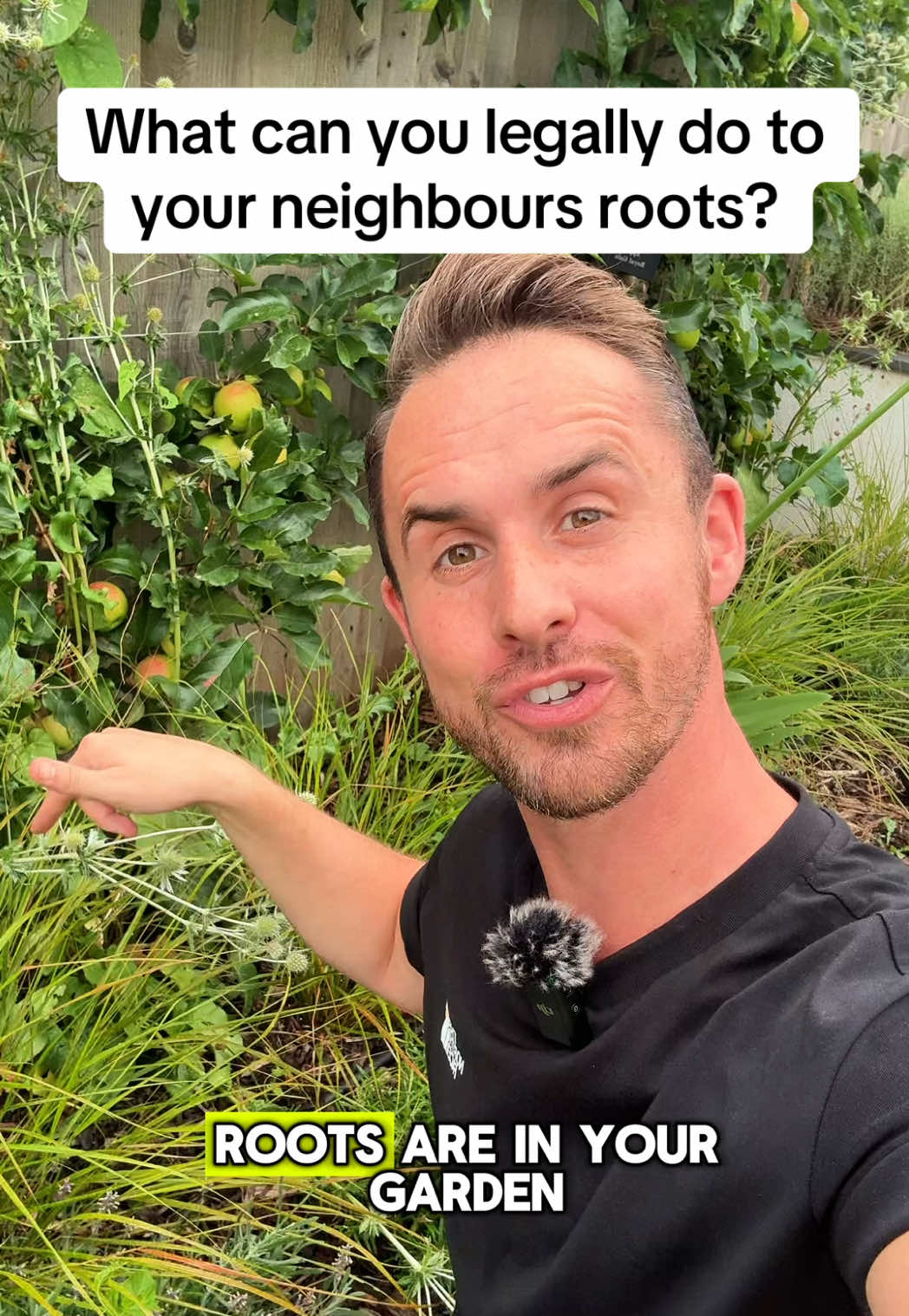 What’s the rules if your neighbours tree roots are in your garden?