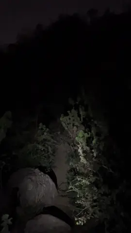 #تصويري_احترافي_الاجواء👌🏻🕊😴 #تصميم_فيديوهات🎶🎤🎬 #اكسبلور 