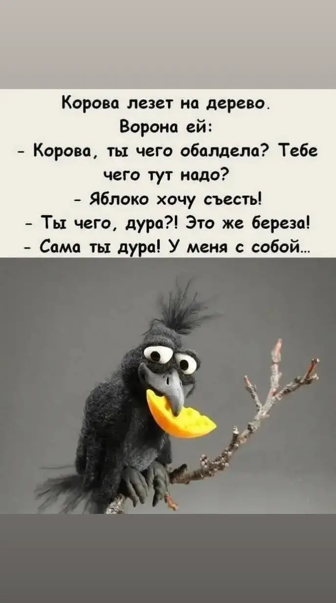 #смех #врекомендации #fotografia #мысли #тикток #тренд #философия #историяжизни #videoviraltiktok 
