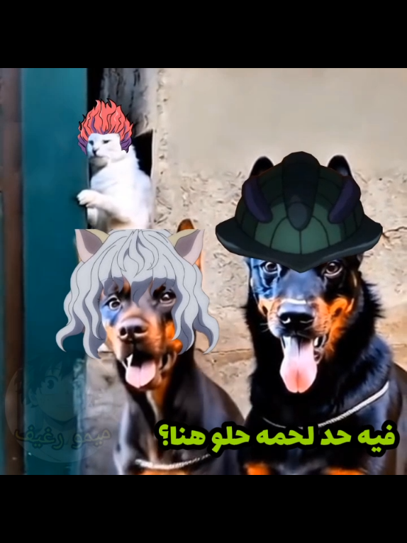 هيسوكا فص نين وداب #hunterxhunter #hunterxhunteredit #meruem #hisoka #anime 