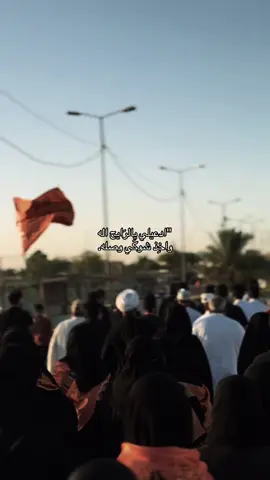 #مشايه #مشايه_الأربعين #الامام_الحسين #كربلاء #fyp 
