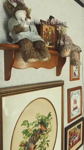 🌞☠️ if you come in my house don’t look too closely 😂 #taxidermy #oddities #vintage #aesthetic 