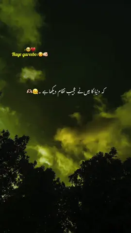 غریبو 🥹💔#aesthetic #poetry #poetrystatus #grow #account #foryou #foryoupage #1million 