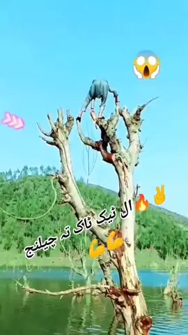 🤫🤫🤫🤗🤗🤗🥱🥱🥱🫶🫶🫶💙💙💚❤️🖤🤍💜💜