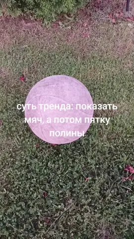 @yvvkknt✧ #глобальныерекомендации #пяткаполины