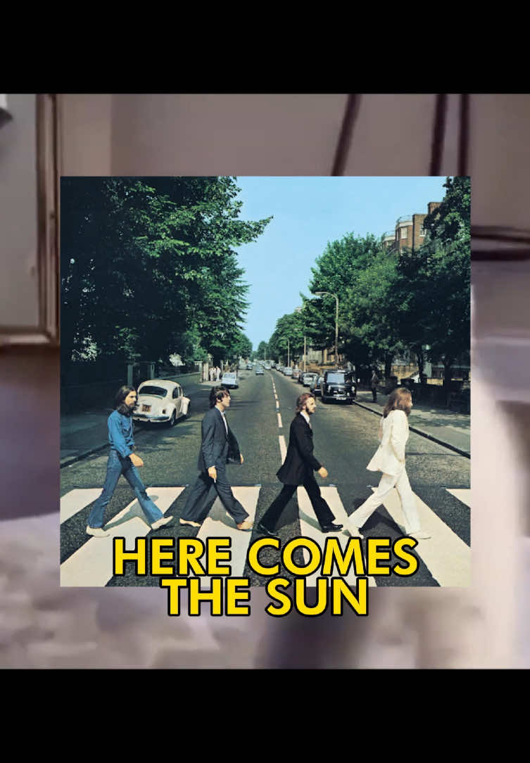 🗣️🗣️ HERE COMES THE SUN 🔥🔥 #catcore #cat #thebeatles #catsoftiktok #songoftheday 