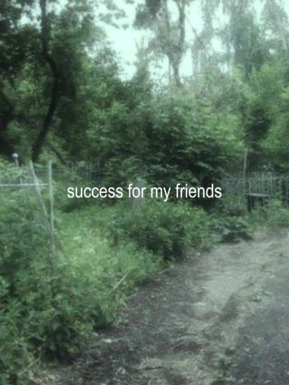 ♬ : Alex G – Harvey // #music #fyp #lyrics #alexg 
