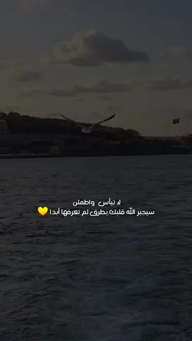 حسابي الانستغرام تابعوني diaa1.95  #اقتباسات_جميله #اقتباسات📝 #تصويري_اكسبلور #تصويري_احترافي_الاجواء👌🏻🕊😴 #ستورياتانستا 