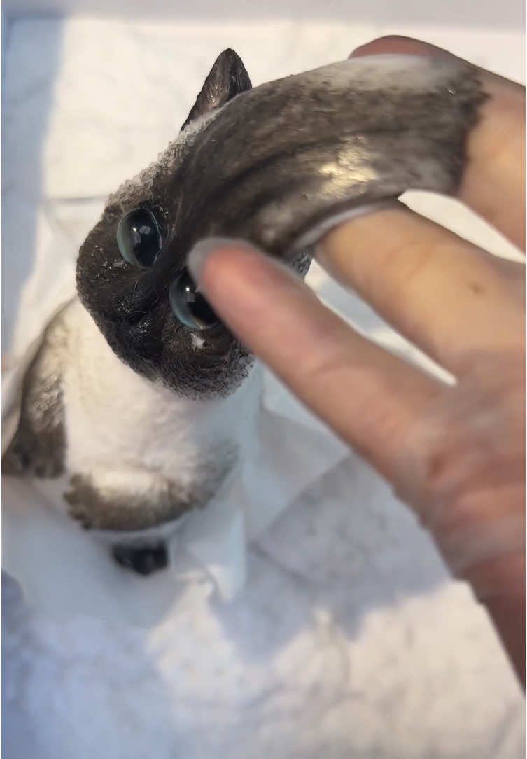 Venom 🐈‍⬛ #DIY #squishy #kitty #cat #art #fentysuperbrandday 