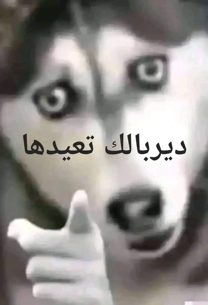 صورة لكيتها علا reddit كلت اريد اشنرها :) #ميمز
