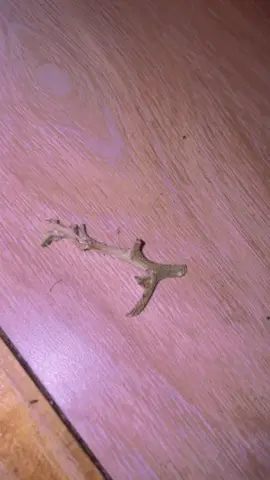 🤣🤣🤣 #draftdump 