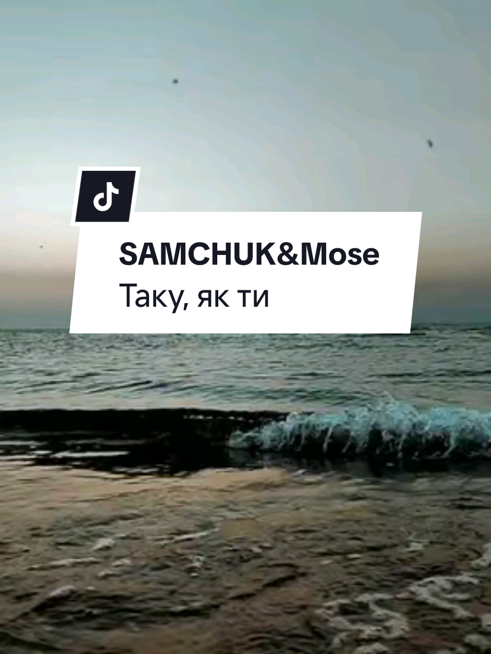 Таку, як ти_Samchuk&Mose #хітиукраїни #українськіпісні #українськамузика #кохання 
