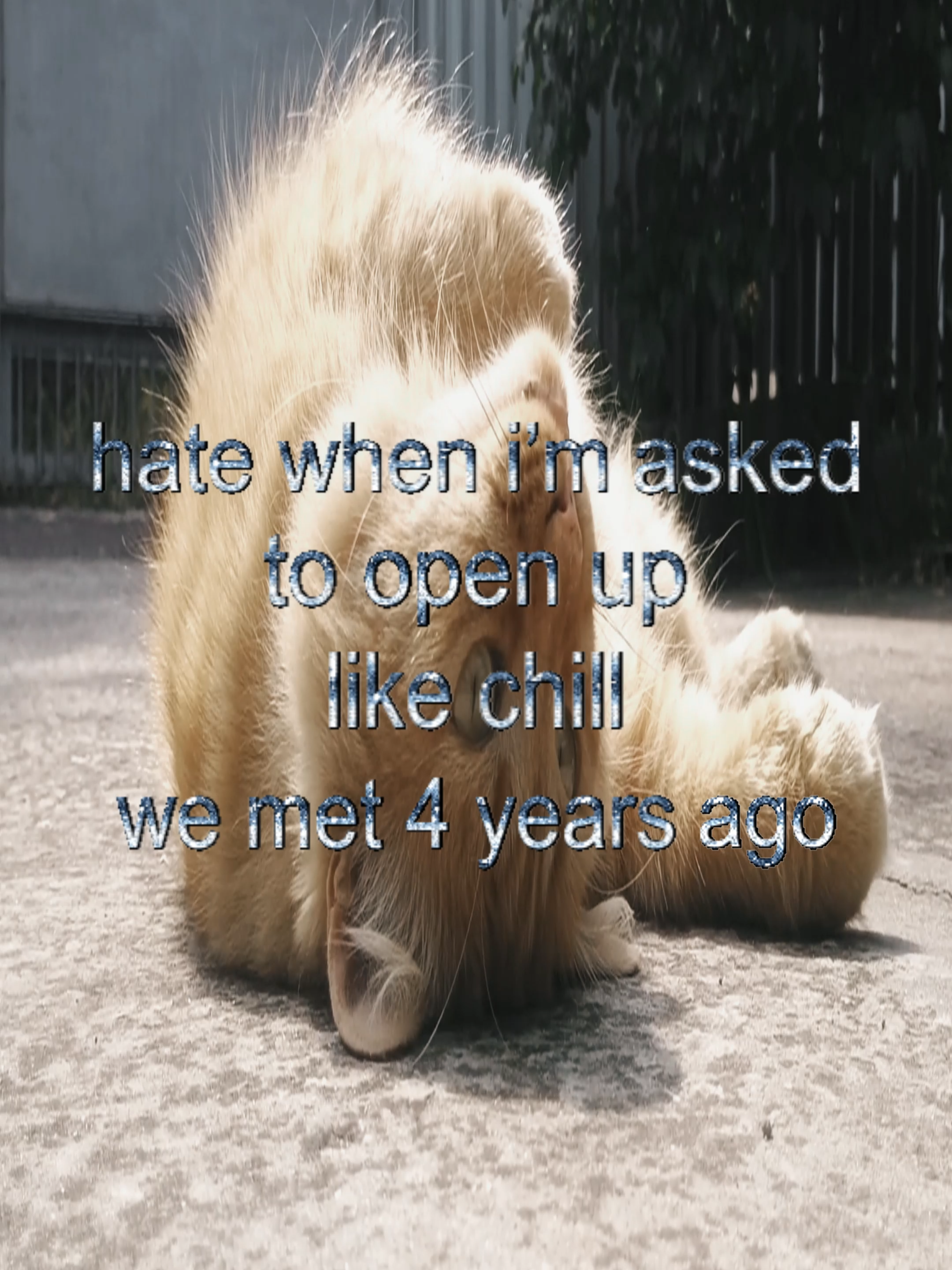 #real #thoughts #fyp #cats #catcore #relatable #swag