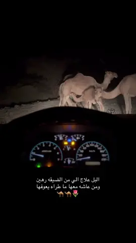#اكسبلور 