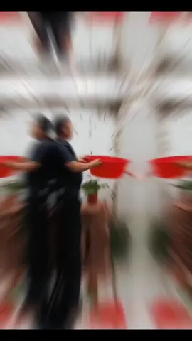 This is why china farming Lizard  #viral  #facts  #China