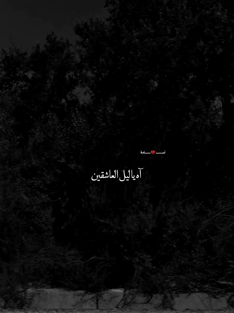 ياليل العاشقين #ليل_العاشقين #يفيد_بأيه_الندم_ما_القلب_ياما_نظلم #WelcomeWassouf @أســـــــــ💔ــــــــامة 
