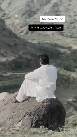 وحشی کو سکون سے کیا مطلب ..                                             .. ..                                             .. ..                                             .. خدا کے محبت کے علاوہ ہر محبت کو زوال ہے #foryou #foryoupage❤️❤️ #viral 