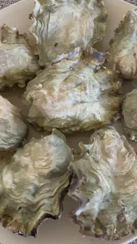 Oyster