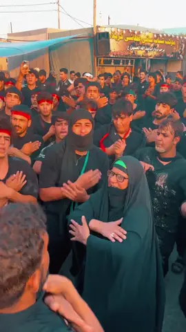 السماوه #طريق_الحسين #المشاية_المقدسة 