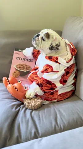 Crumbl cookie review... 10/10 delicious....🥣🍪😂 #crumbl #crumblecookiereview #asmr #foryoupage 
