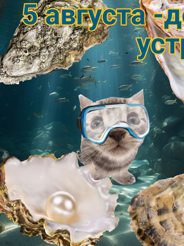 #5августа #веселые #устрицы  ТГК: https://t.me/bitboit