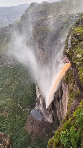 Você já ouviu Falar de uma cachoeira onde a água não chega ao chão? Essa é a cachoeira da fumaça, uma das mais incríveis da chapada Diamantina! Com quase 360 metros de altura, a queda é tão alta que água se transforma em névoa antes de tocar o solo.um espetáculo da natureza que precisa ser visto de perto! #video #chapadadiamantina #videoviral 