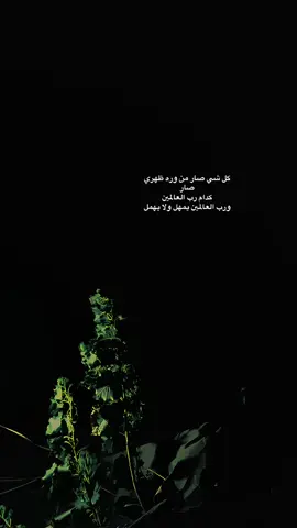 #تصويري #شاشة_سوداء🖤 #ستوريات #fyp #viral #foryou #تصويري_احترافي_الاجواء👌🏻🕊😴 @﮼حَياة🩶. 