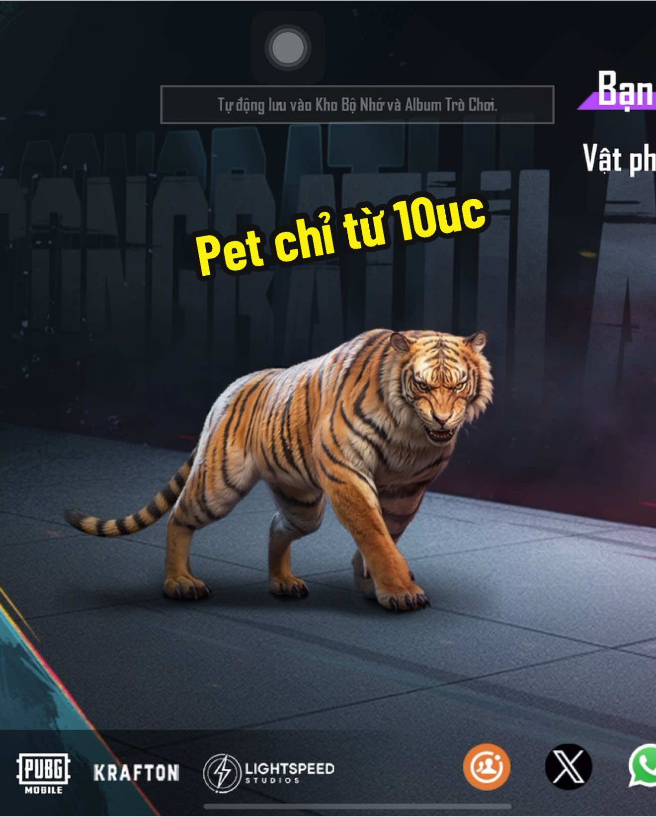 Chỉ từ 10uc đã có pet chúa tể sơn lâm rùiiii #anniehimee #xuhuong #pubgmobile #petpubg #10uc 