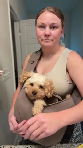 Thunder Approved. #dog #dogsoftiktok #petsling #safe 